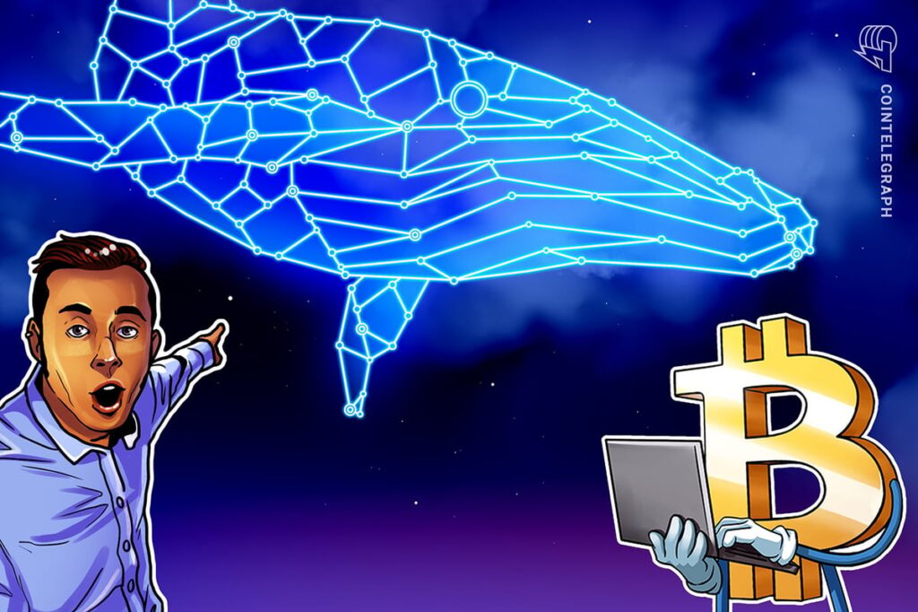 BTC Whales Turn Net Positive After Fastest Selloff In Years Ends