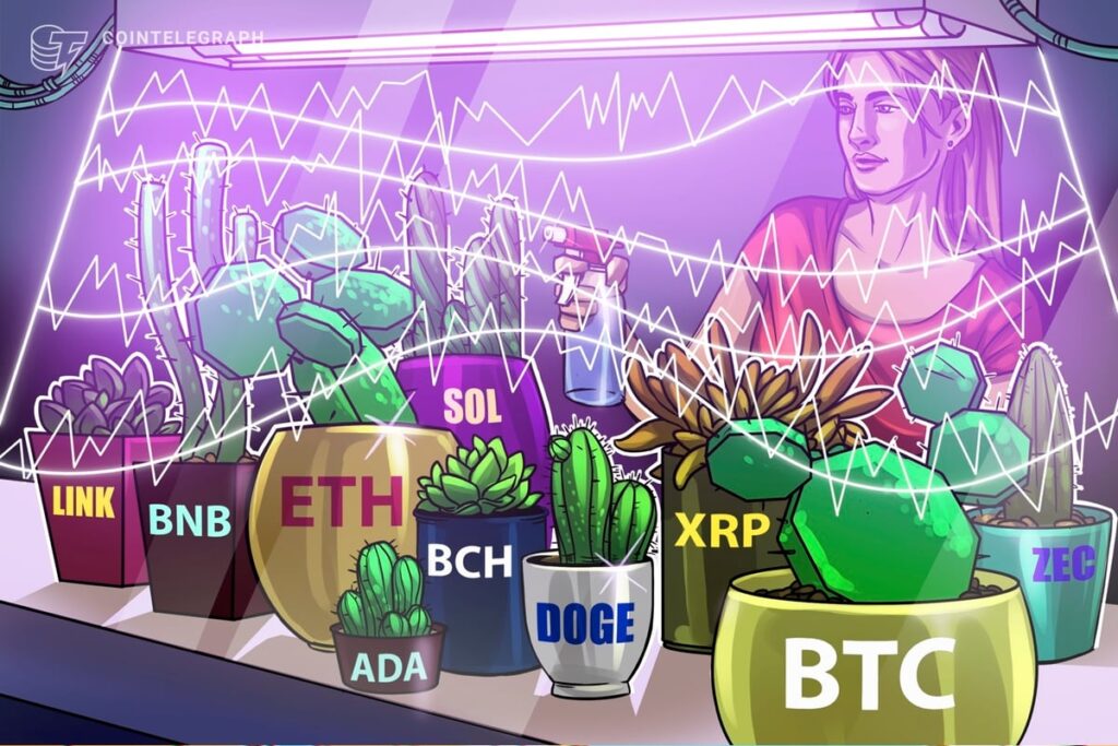 Price predictions 1/2: BTC, ETH, BNB, XRP, SOL, DOGE, ADA, BCH, LINK, ZEC