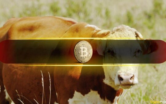 Bullish Sentiment Returns as BTC Nears $70K But Is it a Trap? 