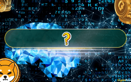 Pierre Rochard Slams Altcoins, Says They Ride Bitcoin’s Coattails