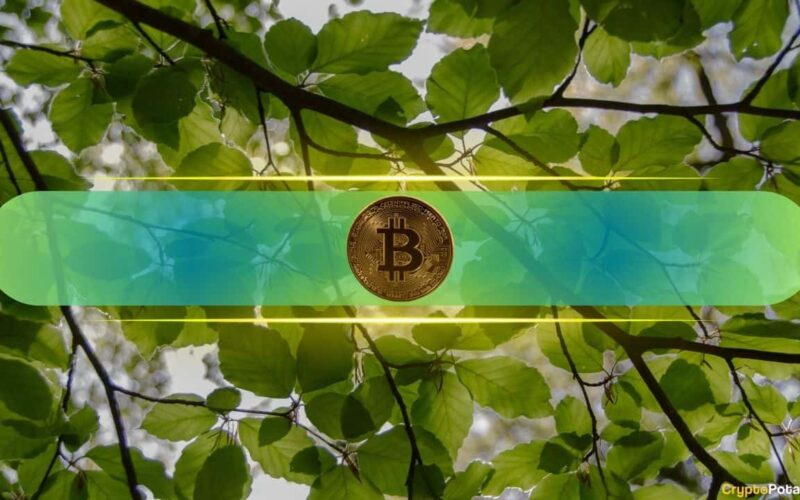 BSC Fees Hit Multi-Month Lows as History Signals Bitcoin Rebound Ahead