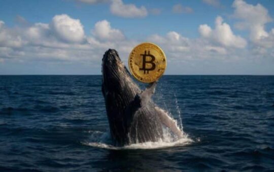 Bitcoin whale awakens after 14 years, sitting on $148 million windfall