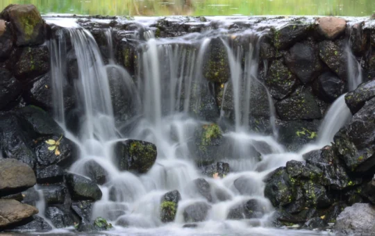 Poor implementation of AI may be behind workforce reduction