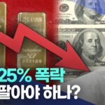 [AI뉴스] 금값 25% 폭락지금 팔아야 하나?