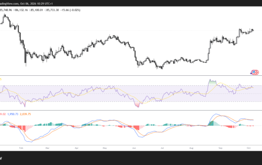 BTC/USD Daily Chart