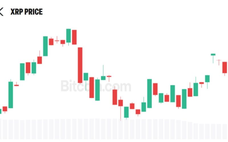 Evernorth Seeks to Register 5.2M Shares as It Plans More XRP Purchases