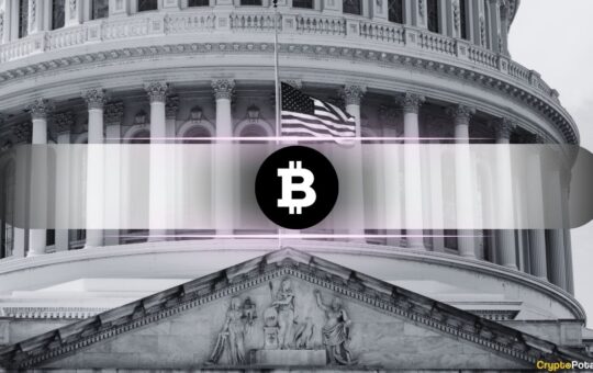 US Is Importing Bitcoin and Exporting Digital Dollars: What Does it Mean?